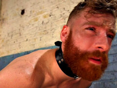 Grosse titten, Fesselspiele, Füsse, Weibliche domination, Handjob, Herrin, Verführt, Strümpfe