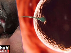 Случайно, Большая жопа, Черные, Кончили внутрь, Черненькие, Межрасовый секс, Милф, Беременная