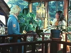ハードコア, Hd, ヴィンテージ