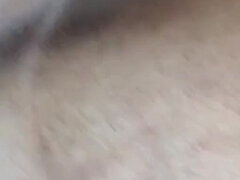 Anál, Veľký zadok, Veľké péro, Veľké kozy, Latinskej, Shemale