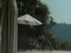 Dirty Nymphs Screaming Loud During Insane Fuckfests