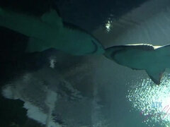 Łazienka, Emo, Dziewczyna, Okulary, Pirsing, Punkt widzenia, Prysznic, Pończochy