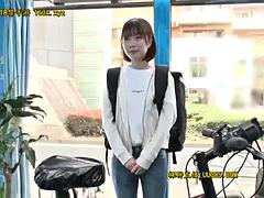일본인, 장난감들