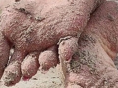 Covered in Sand and Above It All