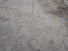 Enthousiasteling, Mooie dikke vrouwen, Stel, Rijpe lesbienne