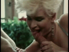 Hatalmas hátsó, Tekintélyes didik, Szőke, Cumizás, Nuni, Múltbéli divat, Lovaglás, Régebbi évjáratú pornó