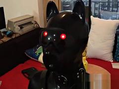 Rubber pup bondage