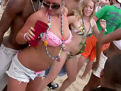 Strand, Bikini, Gruppe, Fest