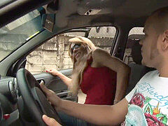 Πρωκτικό, Κώλος, Κώλο γλείψιμο, Πίπα, Βάρβαρος, Γλείψιμο, Τρανσέξουαλ