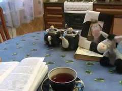 Jersey (aka Jalene ) Russian Redhead (4)