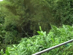 Amatéri, Kuřba, Priateľka, Vonku, Drobunké, Z pohľadu účastníka, Tetovanie, Kozičky