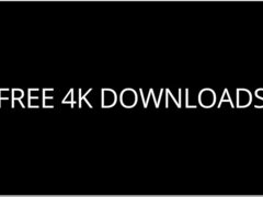 Anaal, Pijpbeurt, Bruinharig, Zwart, Sperma in gezicht, Vingeren, Zuigen, Tatoeage