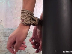 Store bryster, Hæle, Nøgenhed