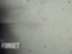 Amatéri, Veľký zadok, Kuřba, Latinskej