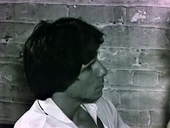 Mačiatko, Blondína, Kuřba, Zastarané