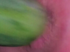 I Love Vegetables in My Ass