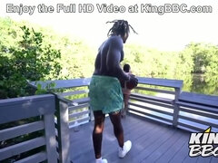 Louie Smalls - Sexual Ebony Babe Fucking In Public