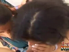 Two Busty Tits Indian Teenagers In Sucking Cock Action