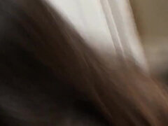 A Collection of a Bunch of Fun Times