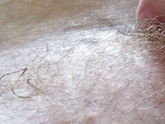 Amatőr, Amerikai, Monumentális dákó, Apu, Maszti, Egyedül