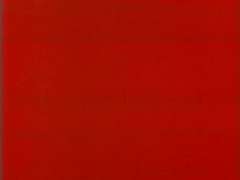 Группа, Волосатые, Порнозвезда