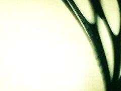 Amateur, Gros cul, Sucer une bite, Fille latino