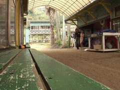 フェラチオ, 茶髪の, カップル, 毛深い, Hd, 日本人, オマンコ, オッパイの