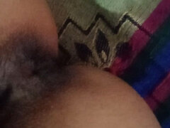 Amateur, Peludo, Indio, Solo