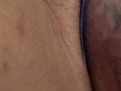 Pumpa, Pička, Sólo