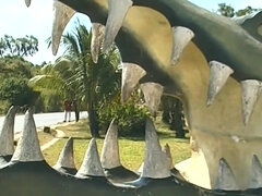 Kuřba, Dvojitá penetrace, Gangbang, Orgie, Vyhublá, Zastaralé