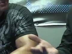 Popó, Testes gyönyörű hölgy, Hatalmas hátsó, Tekintélyes didik, Gesztenyebarna, Nuni, Begyek