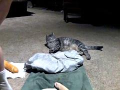 Fun with double dong