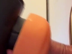 Evropské, Gay, Dospělé