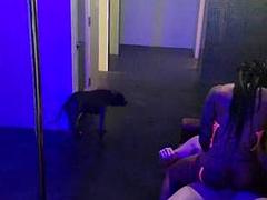 Amatéři, Kotě, Velké péro, Velké kozy, Černé, Kuřba, Hardcore, Mezirasové