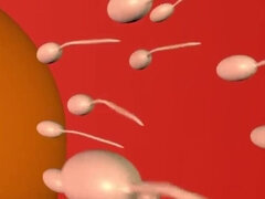 3 dimensionaal, Sperma, Interraciaal, Tiener