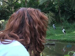 Kuřba, Brunetka, Sperma v puse, Prstění, Nafouklé bradavky, Pička, Drsné akce, Kozičky