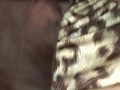 69, Asiater, Stor kukk, Ansikt sittende, Fingring, Hårete, Japaner, Pupper