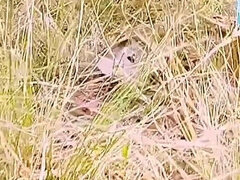 Amador amadora, Casal, Maduroa, Ao ar livre cartaz de rua outdoor