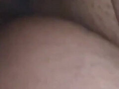 Arabe, Poilue, Fait maison, Enceinte, Chatte