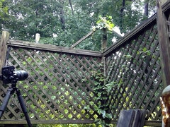 Amaterji, Ameriški, Velika rit, Transvestit, Fetiš, Pete, Zunaj, Solo