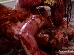 Grosser arsch, Grosse titten, Schlampe, Blondine, Braunhaarige, Hd, Lesbisch, Spielzeuge