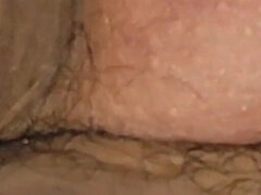 Amatéri, Americkej, Striekanie semena, Otec, Honění, Hardcore, Masturbácia, Sólo