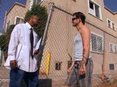 Anál, Lízaní zadků, Kuřba, Kompilace, Stříkání spermatu, Gay, Mezirasové