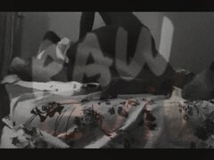 Afrikkalainen, Amatööri, Anaali, Pulska, Pariskunta