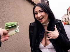 Velké péro, Kuřba, Brunetka, Na pejska, Francouzské, Vlasaté, Honění, Různé pohledy