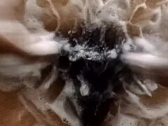 18 летние, Ванна, Волосатые, Домашнее видео, Писсинг, Киски, Соло, Молоденькие