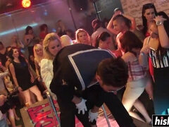 Kisbaba, Tekintélyes didik, Cumizás, Csoport, Fajok közötti