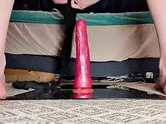 Vakker, Stor kukk, Dildoen, Europeisk, Sexy undertøy, Strømpebukse, Alene, Leker