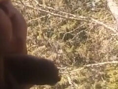 Suck My Ass While I Piss