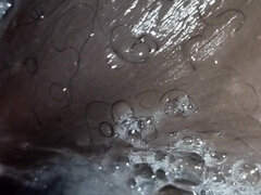 Amatør, Amerikaner, Svart, Kukk suging, Synsvinkel